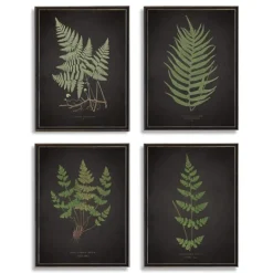 Kirkland's Home Four Ferns Framed Art Prints, Set Of 4- Framed Art
