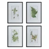 Kirkland's Home Framed Fern Art Prints, Set Of 4- Framed Art