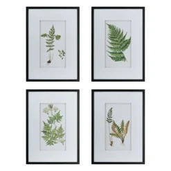 Kirkland's Home Framed Fern Art Prints, Set Of 4- Framed Art