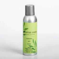 Kirkland's Home Fresh Eucalyptus Leaves Room Spray- Home Fragrance