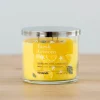 Kirkland's Home Fresh Lemons Triple Wick Jar Candle- Candles
