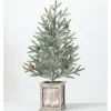 Kirkland's Home Frosted Pinecone Tree In Whitewash Planter, 24 In.- Trees & Topiaries