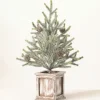 Kirkland's Home Frosted Pinecone Tree In Whitewash Planter, 18 In.- Trees & Topiaries