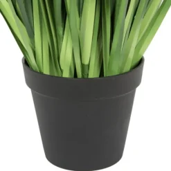 Kirkland's Home Full Green Grass Potted Plant- Trees & Topiaries
