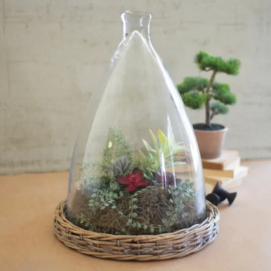 Kirkland's Home Glass And Wicker Base Cloche- Decorative Accents
