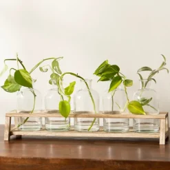 Kirkland's Home Glass Bottle Vase And Crate 5-Pc. Set- Vases