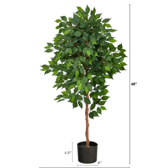 Kirkland's Home Glossy Leaf Ficus Tree In Black Nursery Planter- Trees & Topiaries