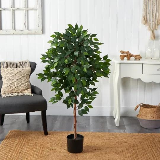 Kirkland's Home Glossy Leaf Ficus Tree In Black Nursery Planter- Trees & Topiaries