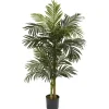 Kirkland's Home Golden Cane Palm Tree, 5 Ft.- Trees & Topiaries