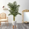 Kirkland's Home Golden Cane Palm With White Planter, 5.5 Ft.- Trees & Topiaries