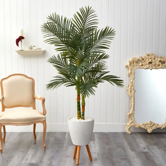 Kirkland's Home Golden Cane Palm With White Planter, 5.5 Ft.- Trees & Topiaries