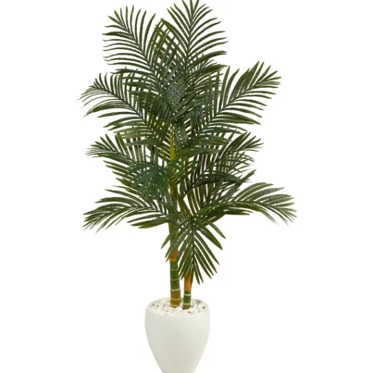 Kirkland's Home Golden Cane Palm With White Planter, 5.5 Ft.- Trees & Topiaries