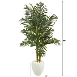 Kirkland's Home Golden Cane Palm With White Planter, 5.5 Ft.- Trees & Topiaries