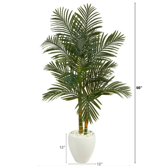 Kirkland's Home Golden Cane Palm With White Planter, 5.5 Ft.- Trees & Topiaries