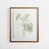 Kirkland's Home Golden Leaves Herbs Dill Framed Art Print- Framed Art
