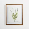 Kirkland's Home Golden Leaves Herbs Lavender Framed Art Print- Framed Art