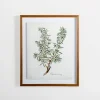 Kirkland's Home Golden Leaves Herbs Rosemary Framed Art Print- Framed Art