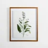 Kirkland's Home Golden Leaves Herbs Sage Framed Art Print- Framed Art