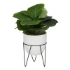 Kirkland's Home Gourd Plant In Hairpin Leg Planter- Trees & Topiaries