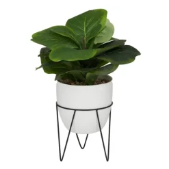 Kirkland's Home Gourd Plant In Hairpin Leg Planter- Trees & Topiaries