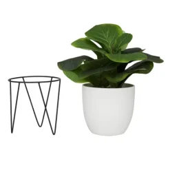 Kirkland's Home Gourd Plant In Hairpin Leg Planter- Trees & Topiaries