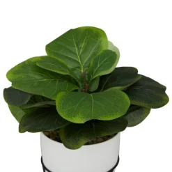 Kirkland's Home Gourd Plant In Hairpin Leg Planter- Trees & Topiaries