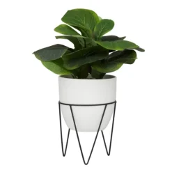 Kirkland's Home Gourd Plant In Hairpin Leg Planter- Trees & Topiaries