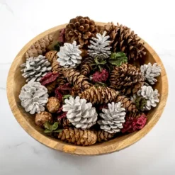 Kirkland's Home Grand Pine Cone Potpourri- Home Fragrance