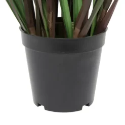 Kirkland's Home Grass And Eucalyptus Potted Plant- Trees & Topiaries