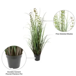 Kirkland's Home Grass And Eucalyptus Potted Plant- Trees & Topiaries