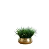 Kirkland's Home Grass Arrangement In Gold Ceramic Bowl- Arrangements & Greenery