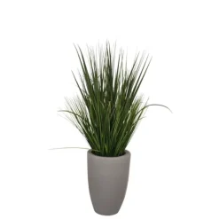 Kirkland's Home Grass Arrangement In Gray Cement Pot- Arrangements & Greenery