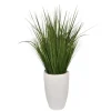 Kirkland's Home Grass Arrangement In White Cement Pot- Arrangements & Greenery