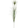 Kirkland's Home Grass Spray Stems, Set Of 6- Stems & Bouquets