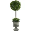 Kirkland's Home Gray Boxwood Pedestal Urn Topiary, 2 Ft.- Trees & Topiaries