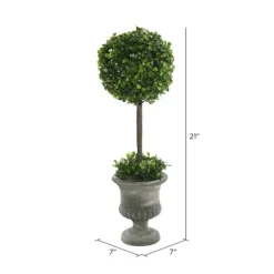 Kirkland's Home Gray Boxwood Pedestal Urn Topiary, 2 Ft.- Trees & Topiaries