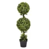 Kirkland's Home Green Double Ball Boxwood Potted Topiary- Trees & Topiaries