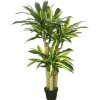 Kirkland's Home Green Dracaena Tree In Black Planter- Trees & Topiaries