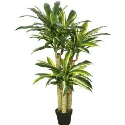 Kirkland's Home Green Dracaena Tree In Black Planter- Trees & Topiaries