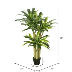 Kirkland's Home Green Dracaena Tree In Black Planter- Trees & Topiaries
