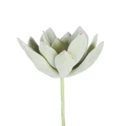 Kirkland's Home Green Echeveria Stems, Set Of 6- Stems & Bouquets