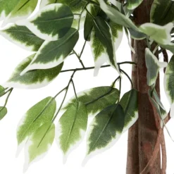 Kirkland's Home Green Ficus Potted Tree, 73 In.- Trees & Topiaries