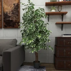 Kirkland's Home Green Ficus Potted Tree, 73 In.- Trees & Topiaries