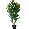 Kirkland's Home Green Myrtle Tree In Black Planter- Trees & Topiaries