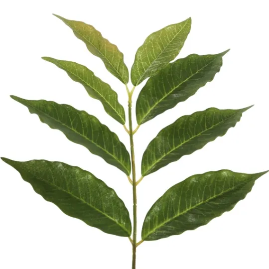 Kirkland's Home Green Nandina Potted Tree, 4 Ft.- Trees & Topiaries