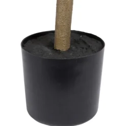 Kirkland's Home Green Nandina Tree In Black Planter- Trees & Topiaries