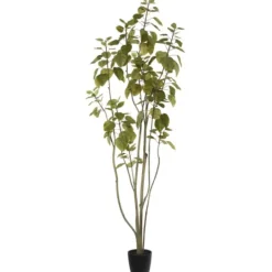 Kirkland's Home Green Potted Cotinus Coggygria Tree, 6 Ft.- Trees & Topiaries