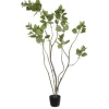 Kirkland's Home Green Potted Cotinus Coggygria Tree, 4 Ft.- Trees & Topiaries