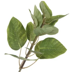 Kirkland's Home Green Potted Cotinus Coggygria Tree, 4 Ft.- Trees & Topiaries
