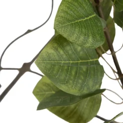 Kirkland's Home Green Potted Cotinus Coggygria Tree, 4 Ft.- Trees & Topiaries